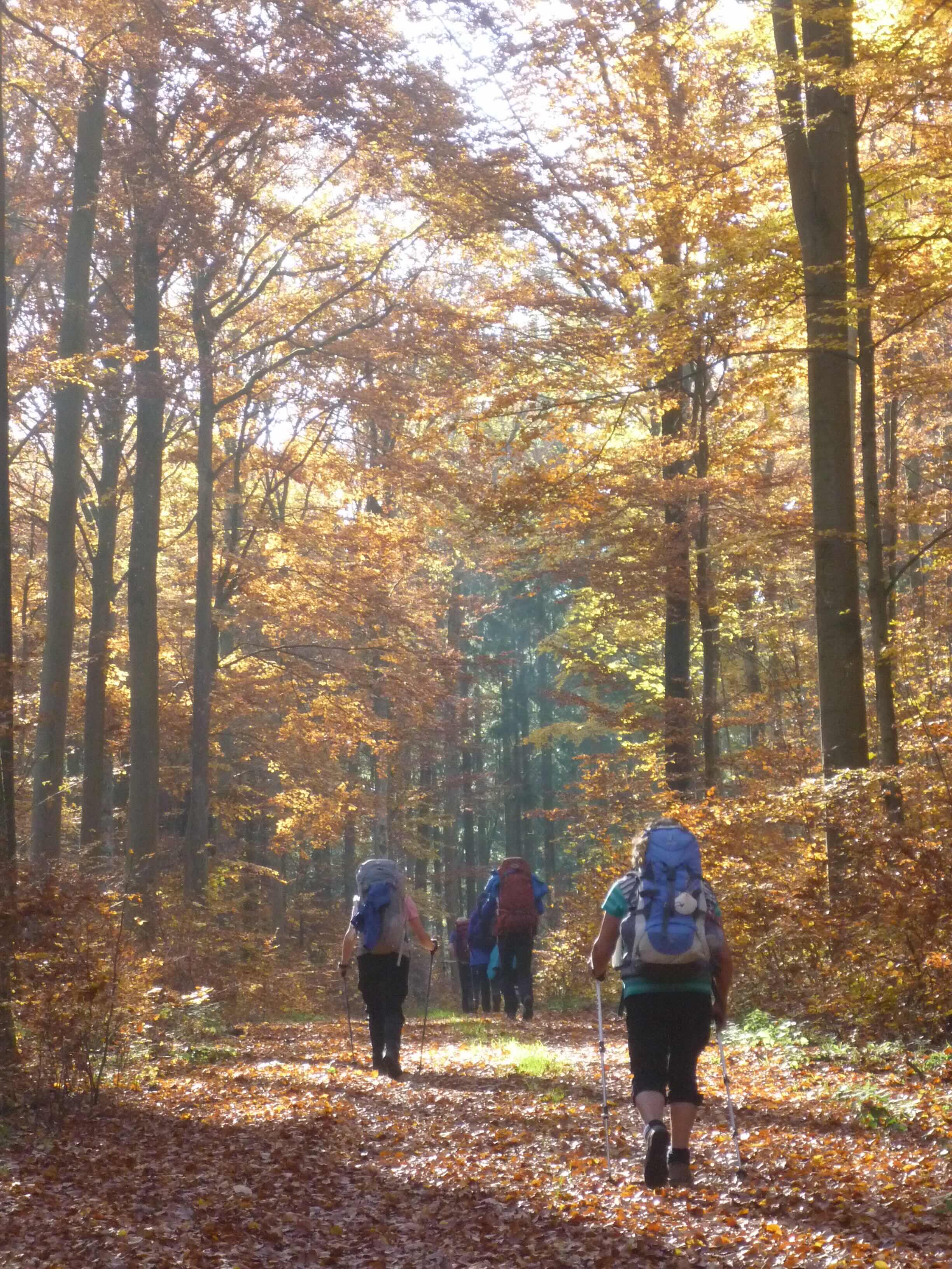 251011 Gehen Trauern Wandeln